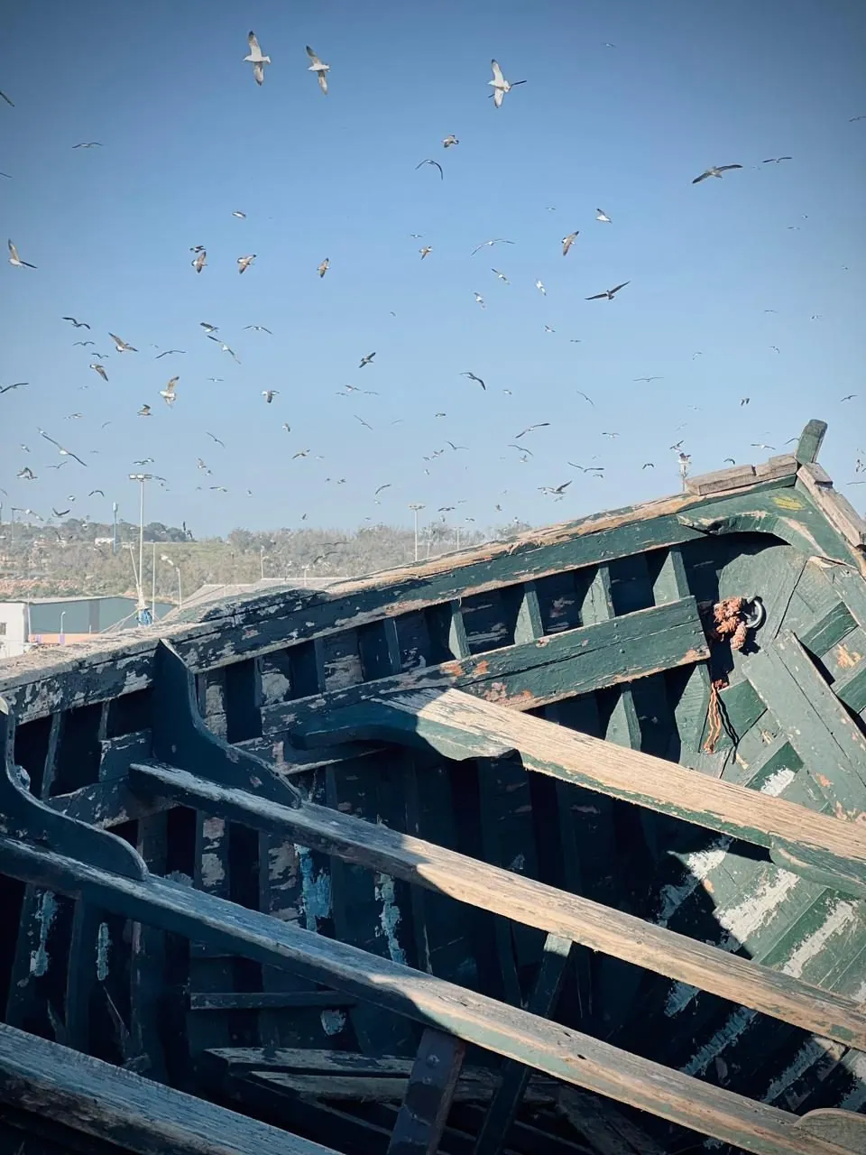 Une vieille barque de pêche en bois dans le port de Safi, sous un vol de mouettes.